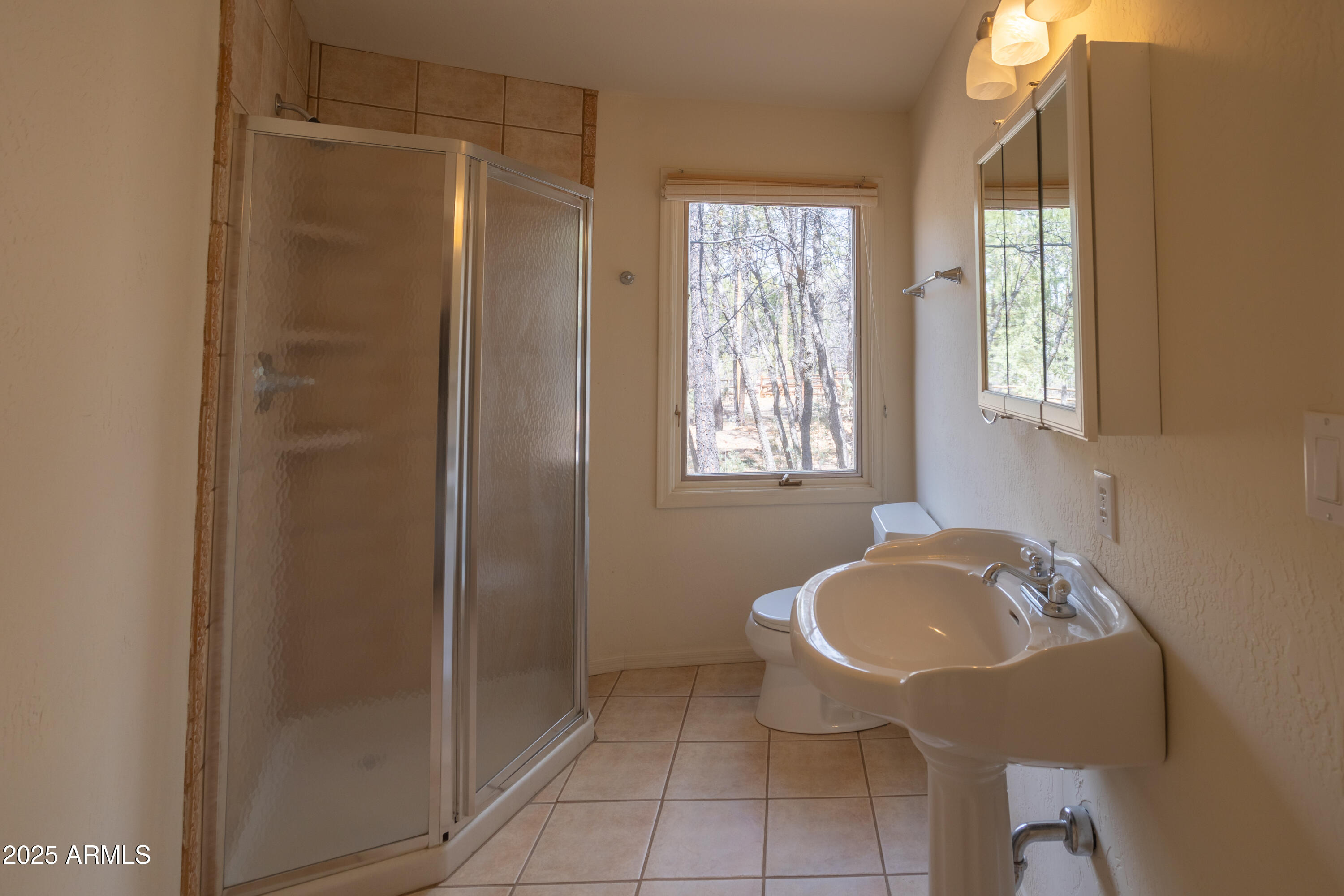 902 Rim Road Lakeside, AZ 85929 - Photo 26 of 55 Guest Bath