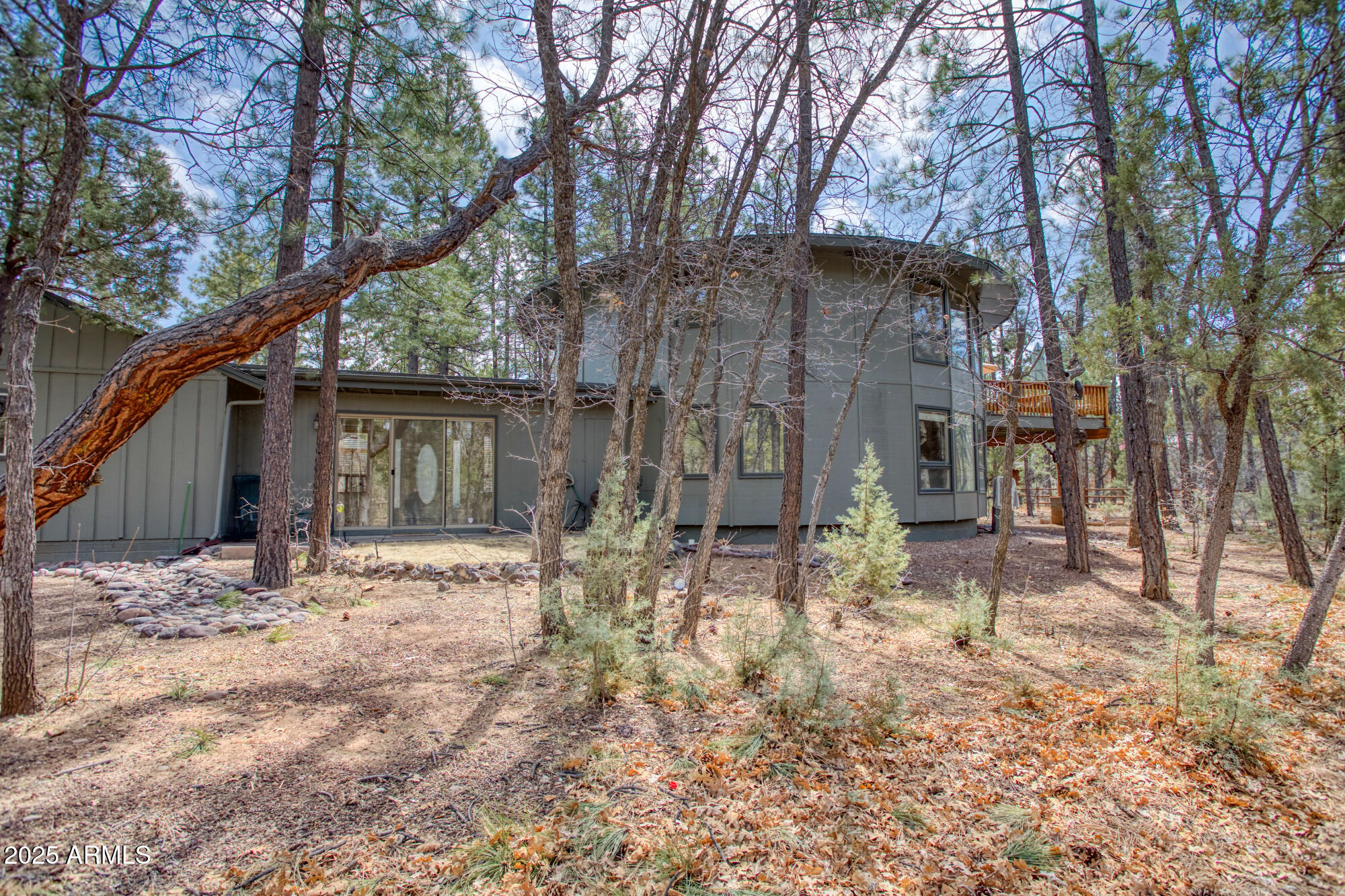 902 Rim Road Lakeside, AZ 85929 - Photo 36 of 55 Back of home