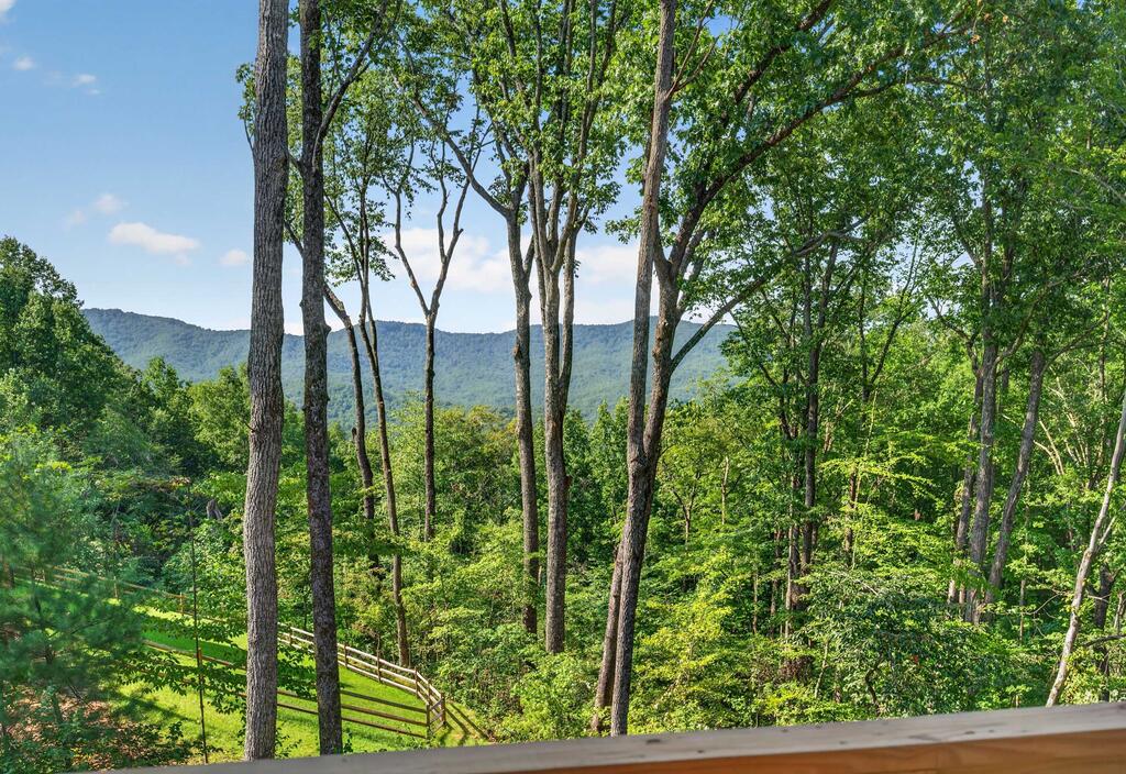 750 Settler's Ridge Road Ellijay, GA 30540 - Photo 3 of 78 Gallery Image 3