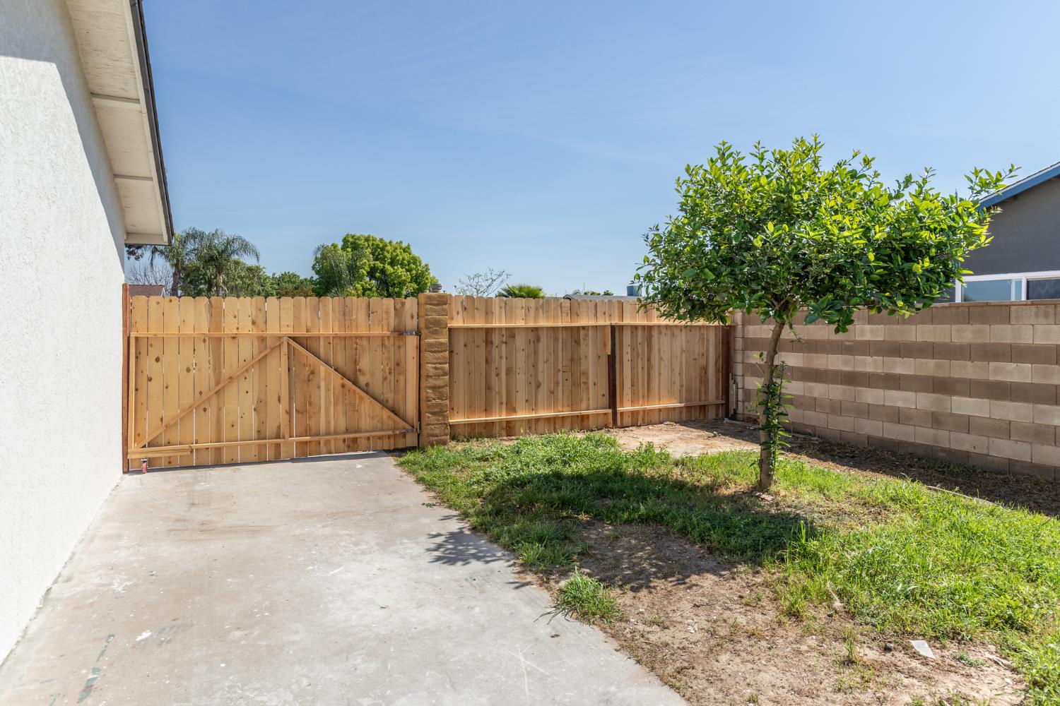 1185 East Evening Glow Circle Reedley, CA 93654 - Photo 42 of 42 a view of backyard with green space