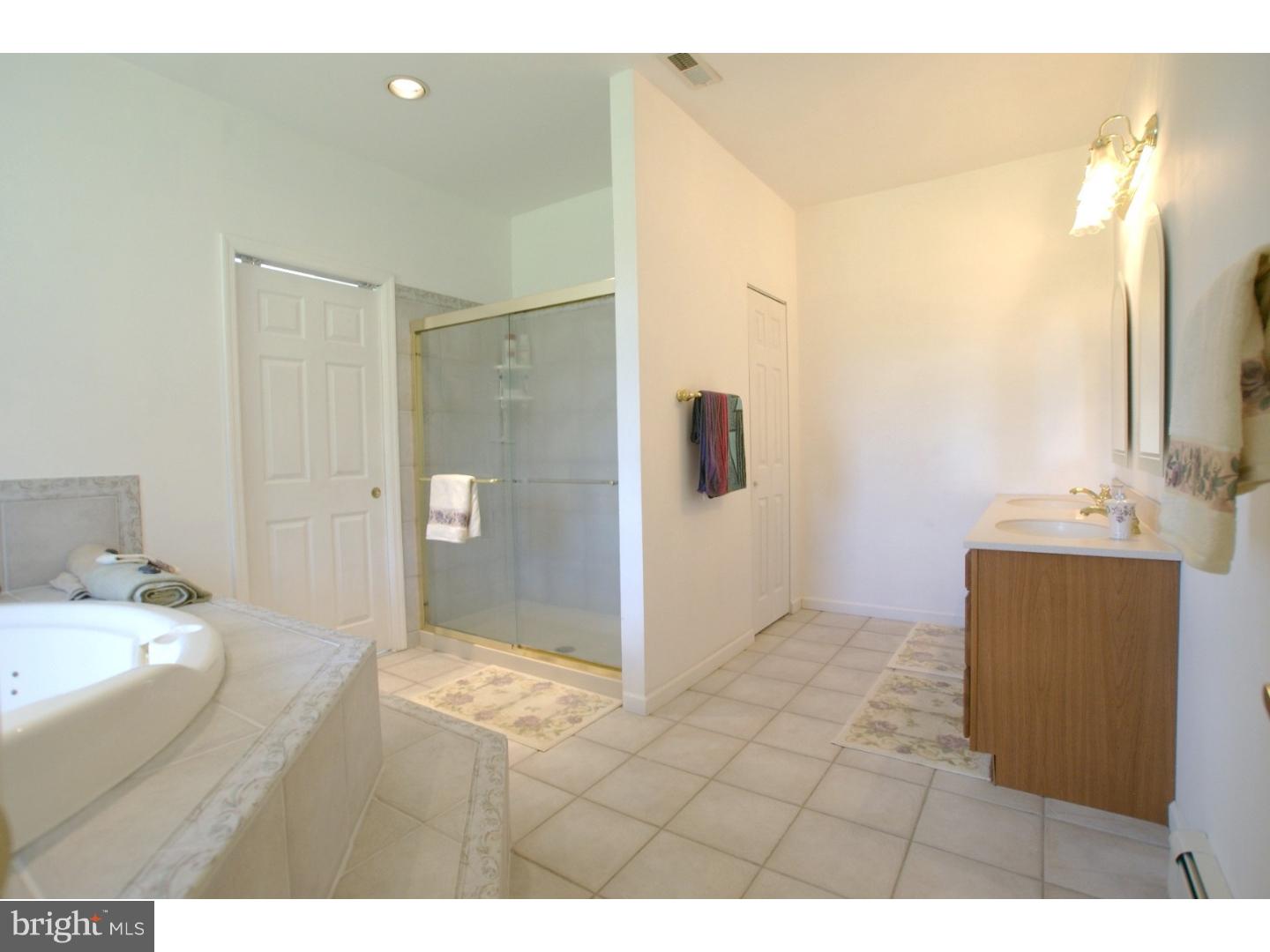 272 Arneys Mt Road Pemberton, NJ 08068 - Photo 11 of 25 Master Bathroom