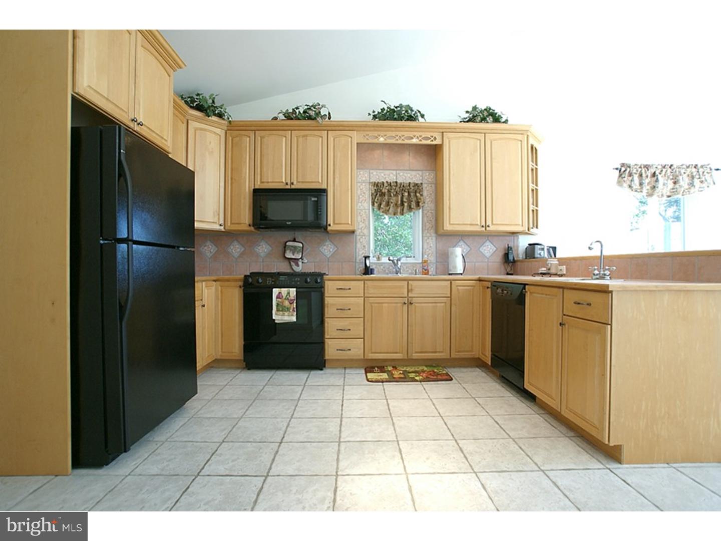 272 Arneys Mt Road Pemberton, NJ 08068 - Photo 5 of 25 Kitchen