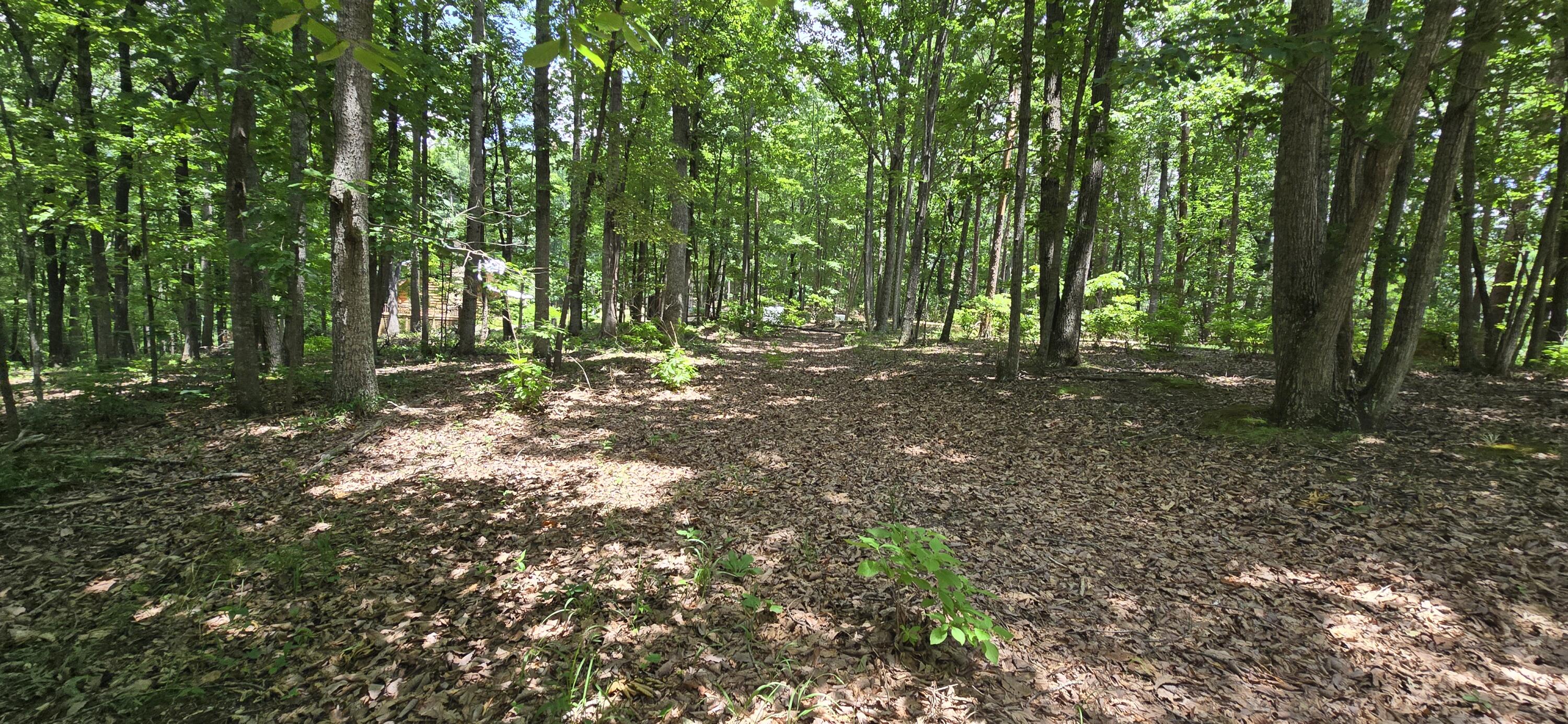 300 Canaan Lane Rising Fawn, GA 30738 - Photo 12 of 16 20250613_140748