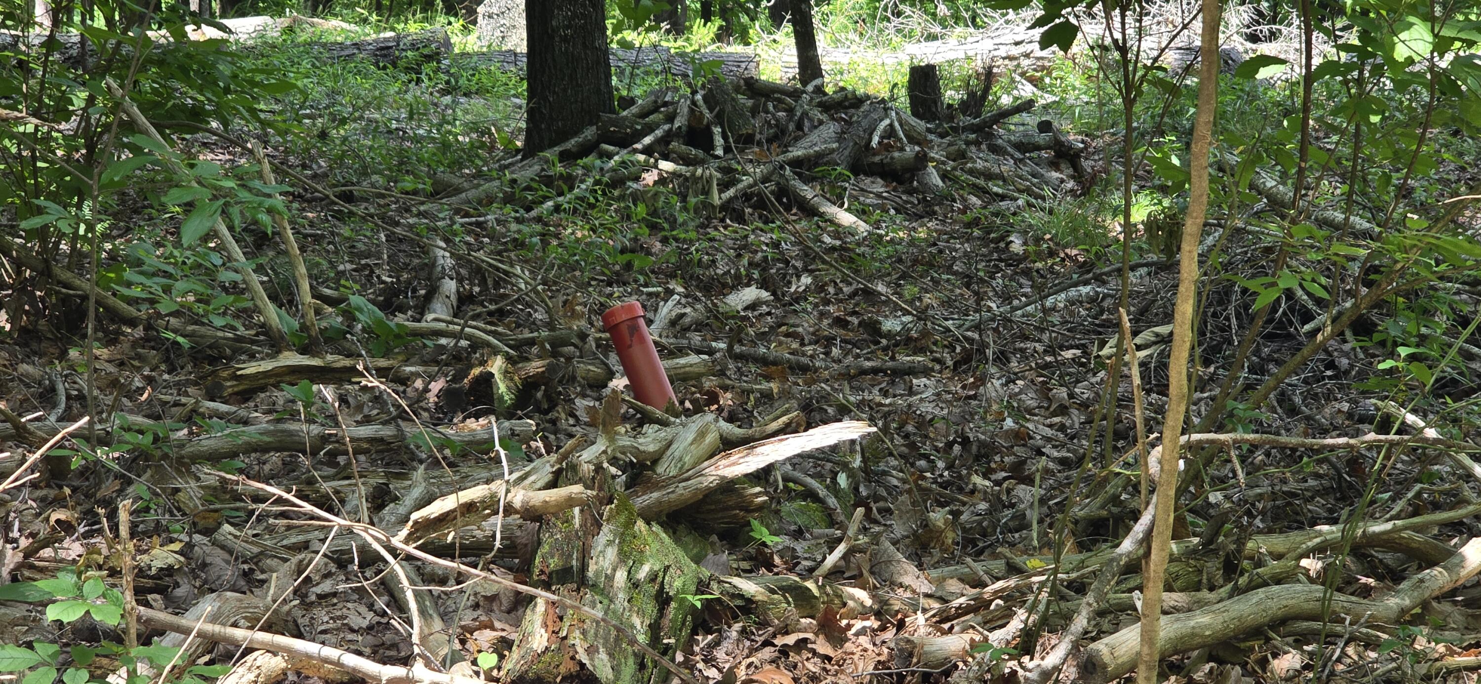 300 Canaan Lane Rising Fawn, GA 30738 - Photo 15 of 16 20250613_140442
