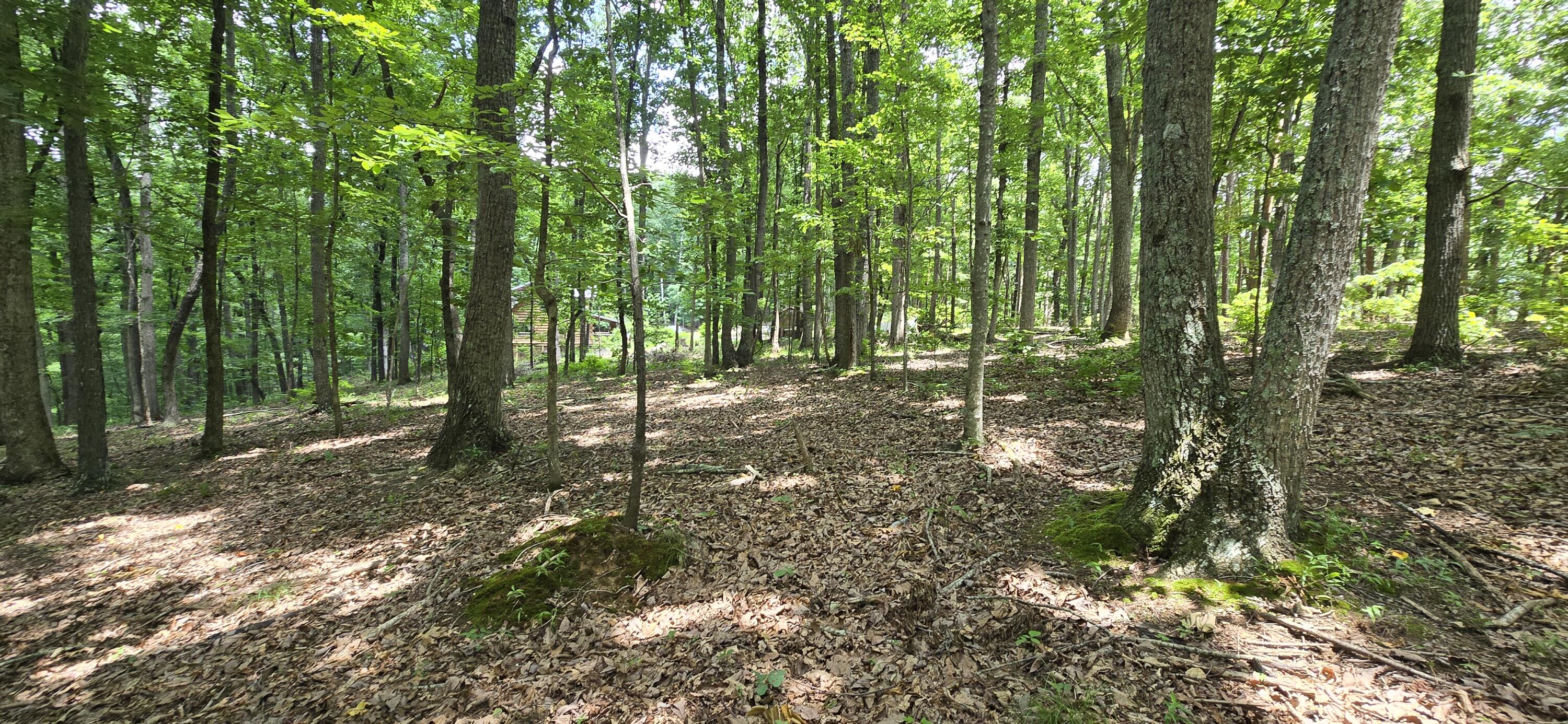 300 Canaan Lane Rising Fawn, GA 30738 - Photo 5 of 16 20250613_140630