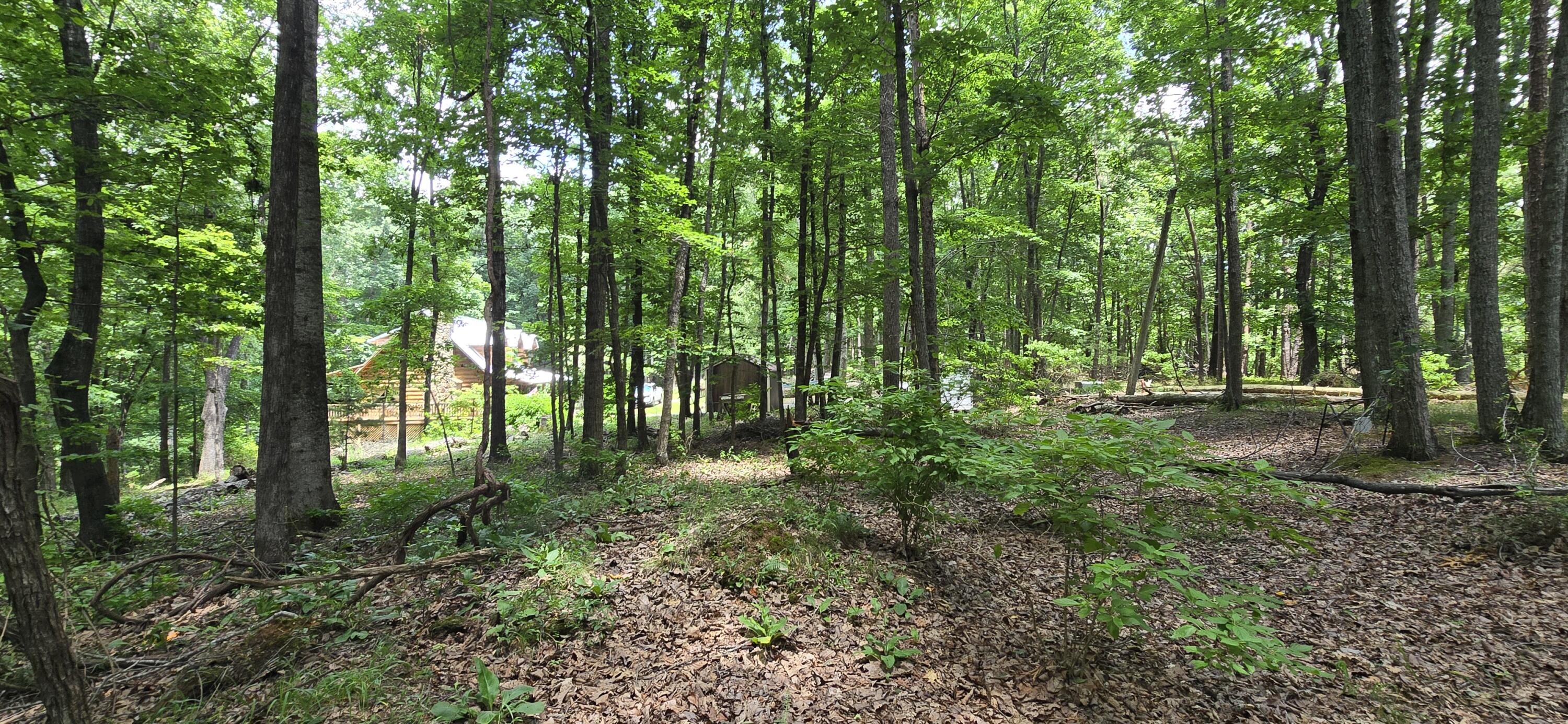 300 Canaan Lane Rising Fawn, GA 30738 - Photo 7 of 16 20250613_140545