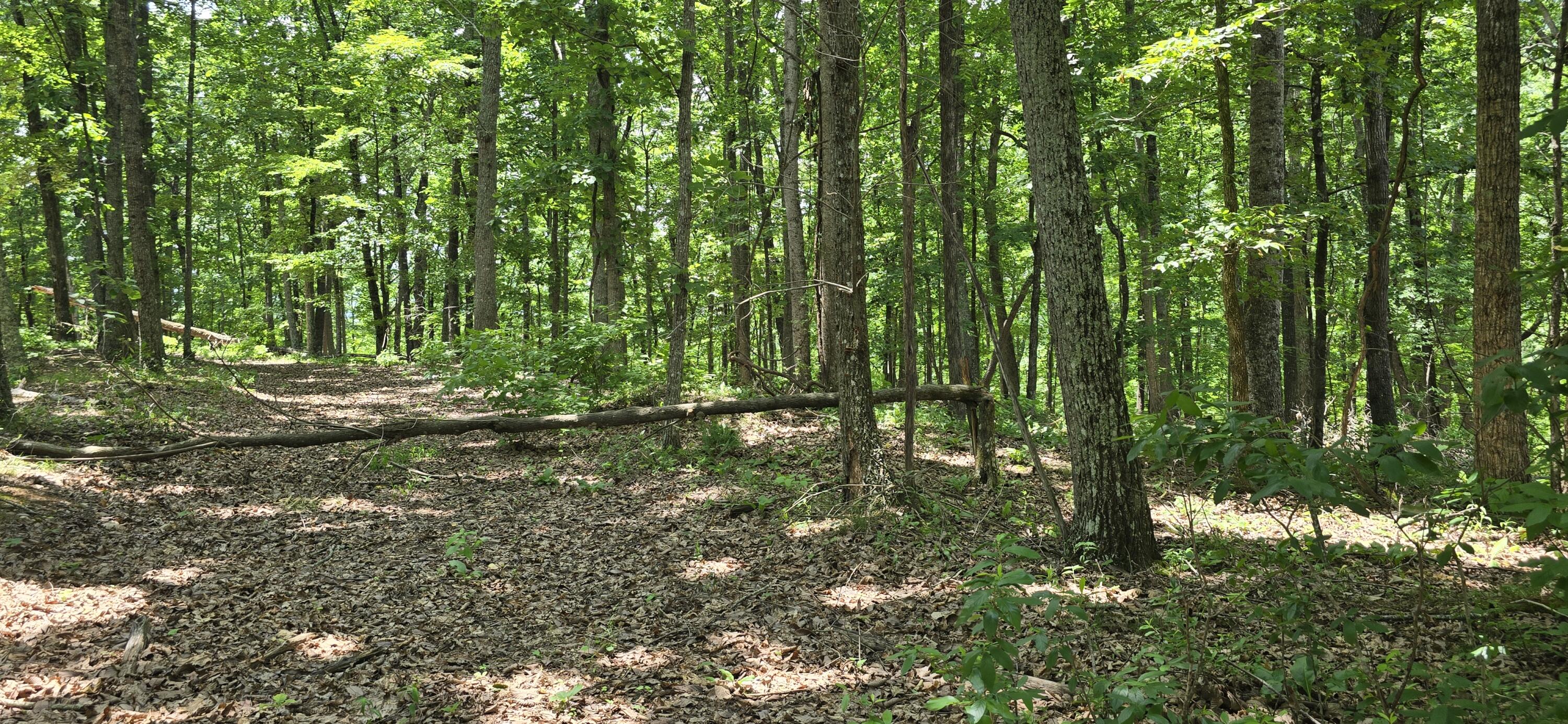 300 Canaan Lane Rising Fawn, GA 30738 - Photo 10 of 16 20250613_140454
