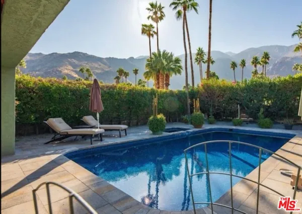 a view of a yard with plants and palm trees