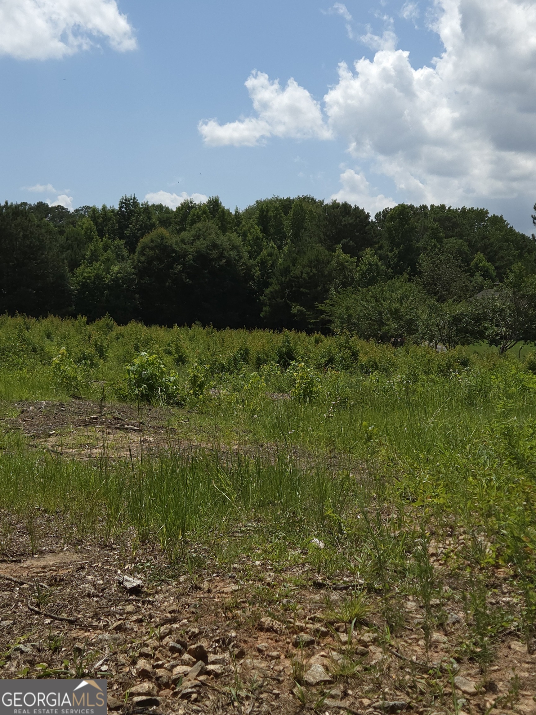 0 Trickum Creek Road Tyrone, GA 30290 - Photo 6 of 9