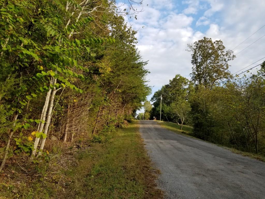 Lot 51 Key Cove Rd Spring, Unit 51 Spring City, TN 37381 - Photo 1 of 8 20171015_173803 (Medium)