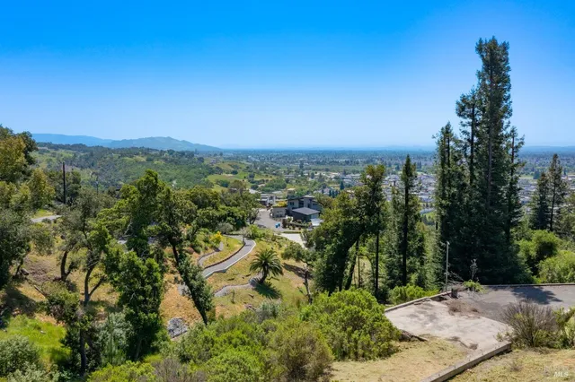 a view of a city with lush green forest