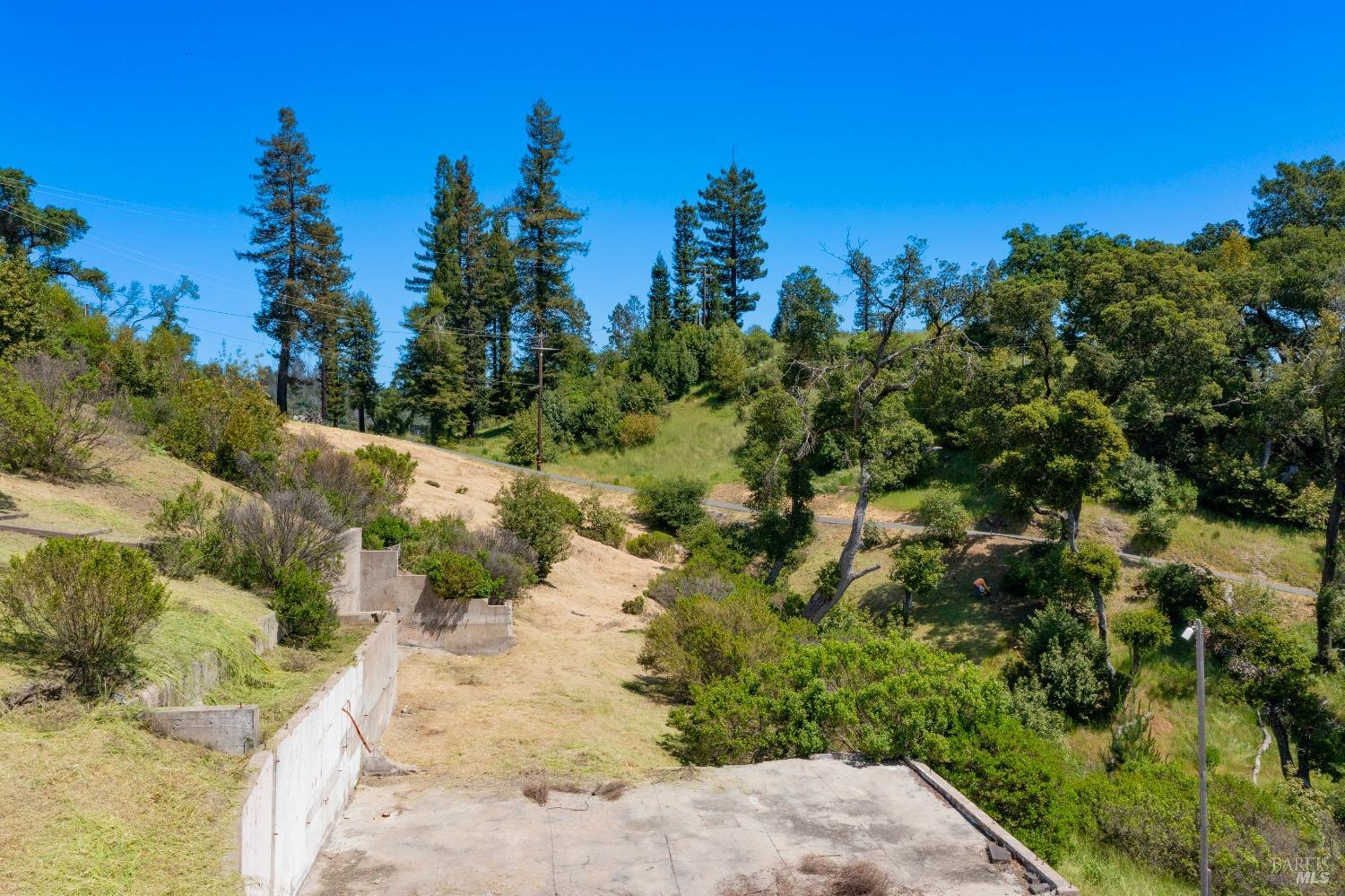 1058 Wikiup Drive Santa Rosa, CA 95403 - Photo 14 of 25 a view of a yard of a house