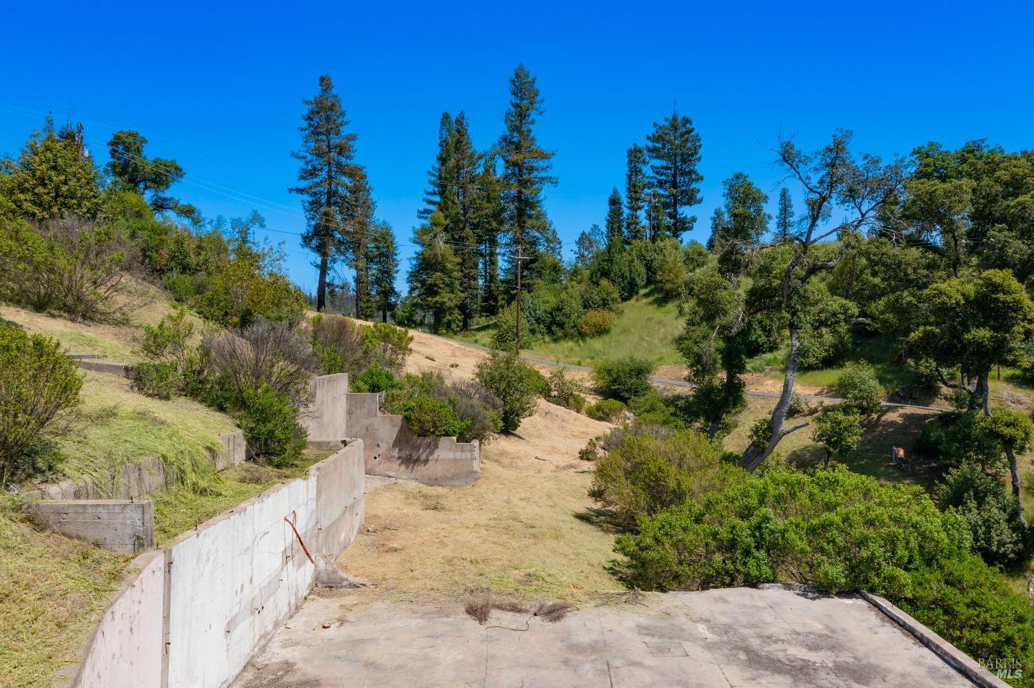 1058 Wikiup Drive Santa Rosa, CA 95403 - Photo 15 of 25 a view of a yard with trees