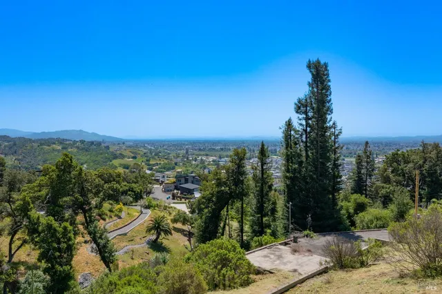 a view of a city with lush green forest