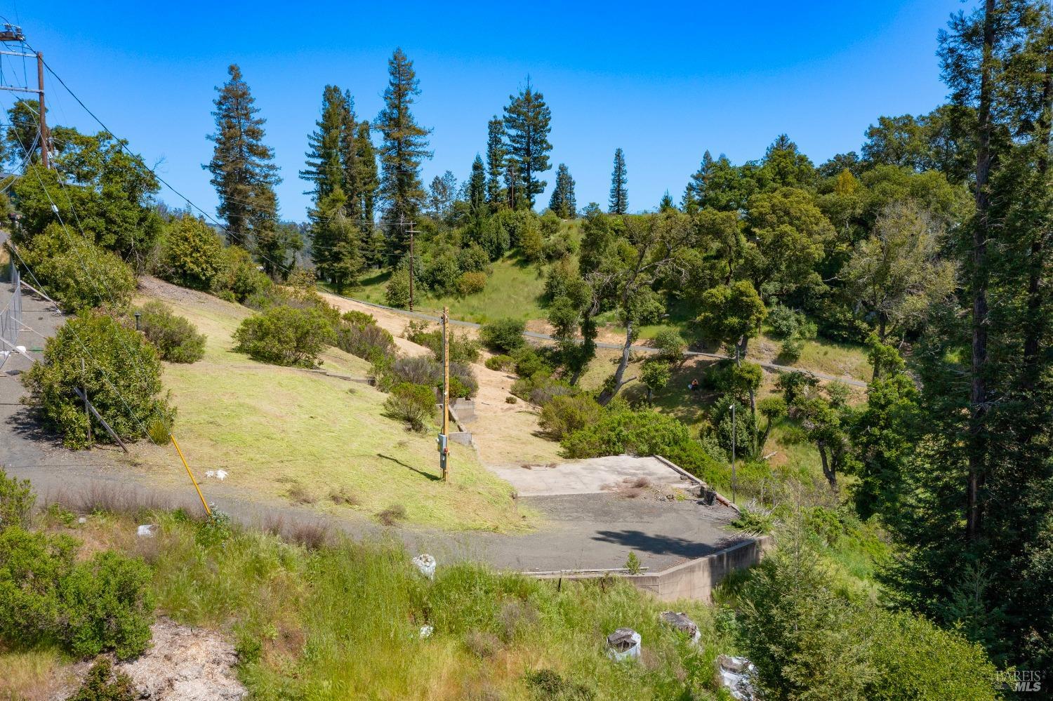 1058 Wikiup Drive Santa Rosa, CA 95403 - Photo 6 of 25 a view of a yard with trees