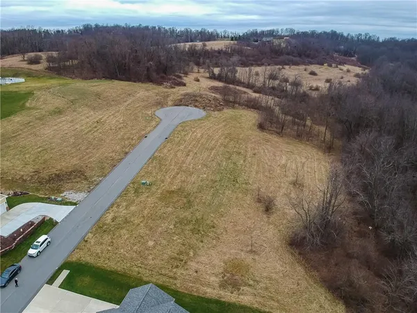 a view of a yard