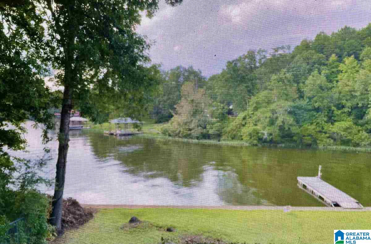 216 Lakeshore Drive Oneonta, AL 35121 - Photo 2 of 17