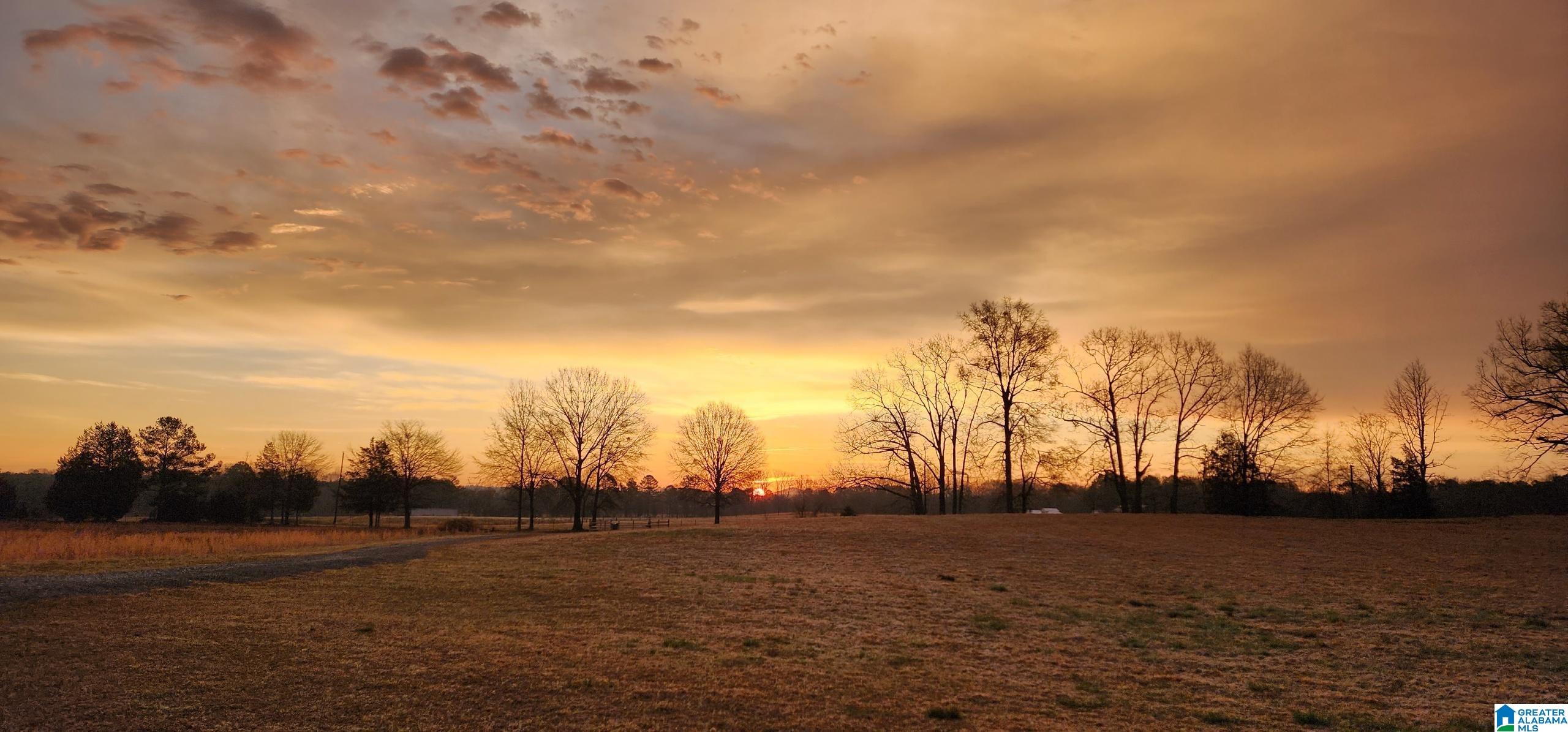 277 Jackson Farm Road Wilsonville, AL 35186 - Photo 67 of 68