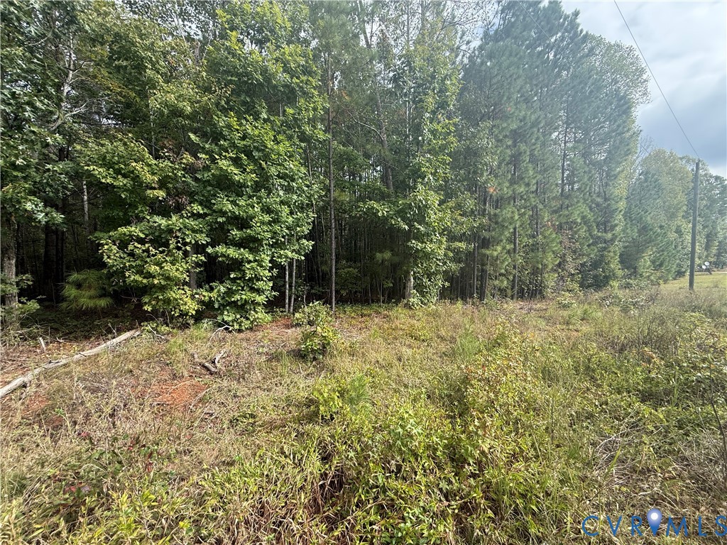 13.52 West Point Stevens Road Drakes Branch, VA 23937 - Photo 3 of 14 a view of outdoor space and trees