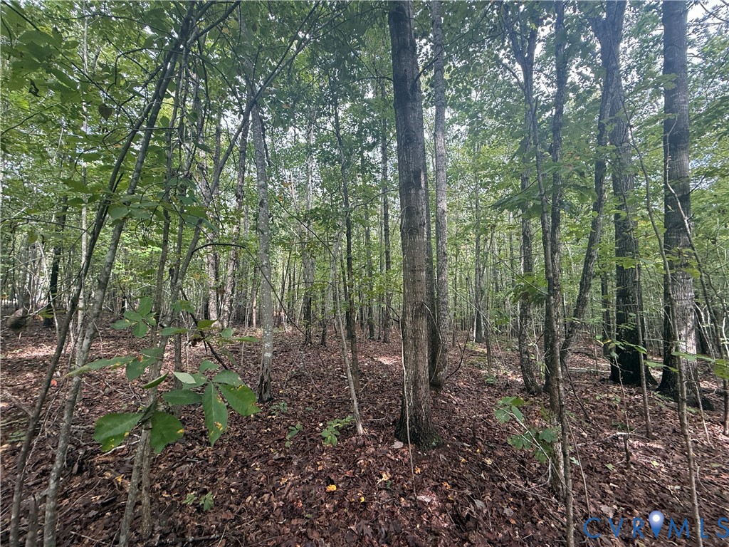 13.52 West Point Stevens Road Drakes Branch, VA 23937 - Photo 6 of 14 a view of forest