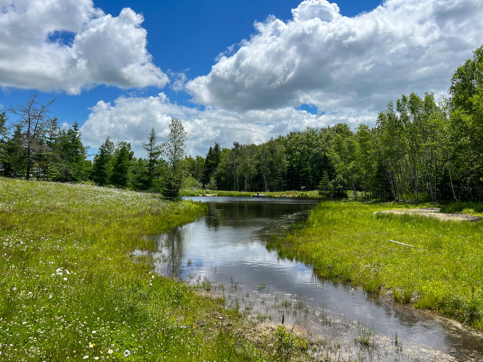 260 Horn Road Harrington, ME 04643 - Photo 17 of 33 1A