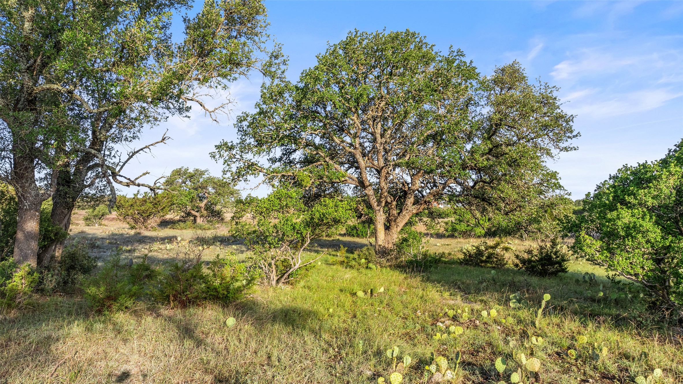Lot 4 Vista Rdg Drive Round Mountain, TX 78663 - Photo 14 of 21 View of nature