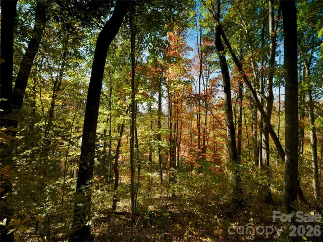 a backyard of a house with lots of trees