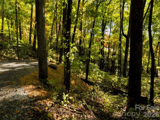 a view of outdoor space with garden