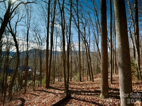 a view of outdoor space and trees
