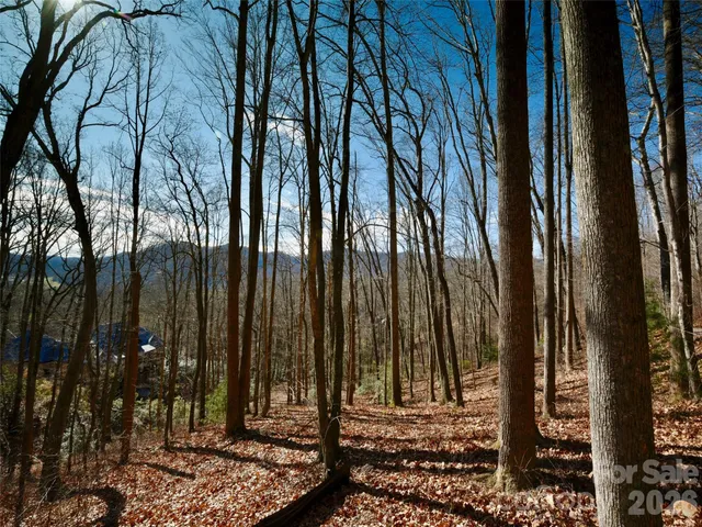 a view of outdoor space and trees