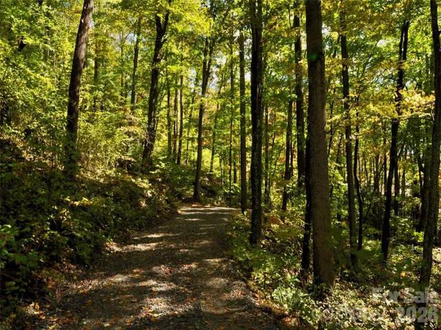 $3,799,999 | 841 Blackthorne Lane, Arden, NC 28704