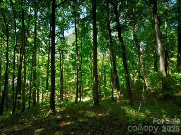 $3,799,999 | 841 Blackthorne Lane, Arden, NC 28704