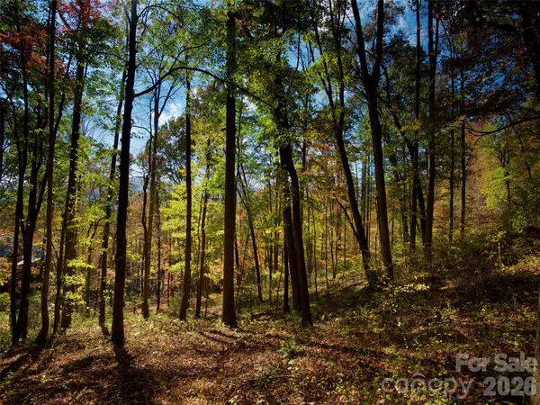 a view of a backyard of the house