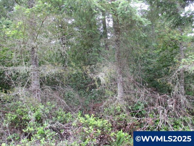 0 Gruber South Road Estacada, OR 97023 - Photo 11 of 30