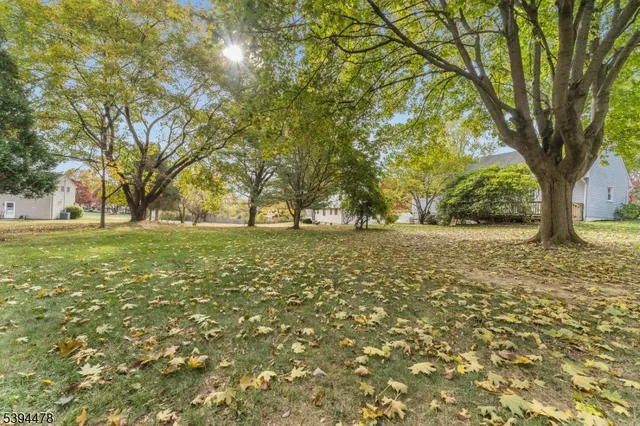 a view of yard with trees