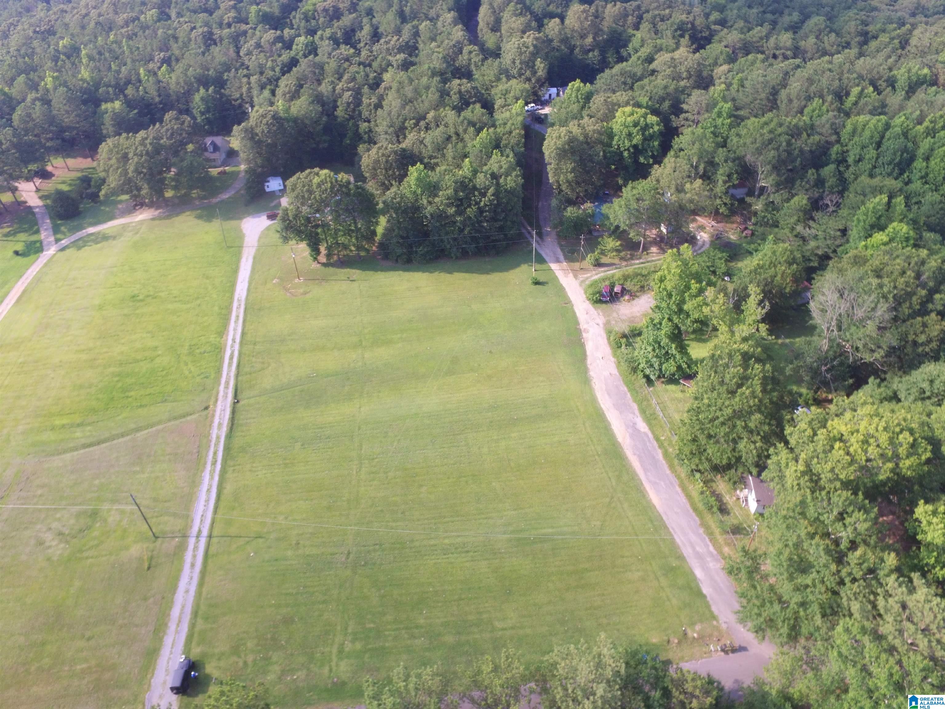 1480 County Line Road West Eastaboga, AL 36260 - Photo 3 of 45