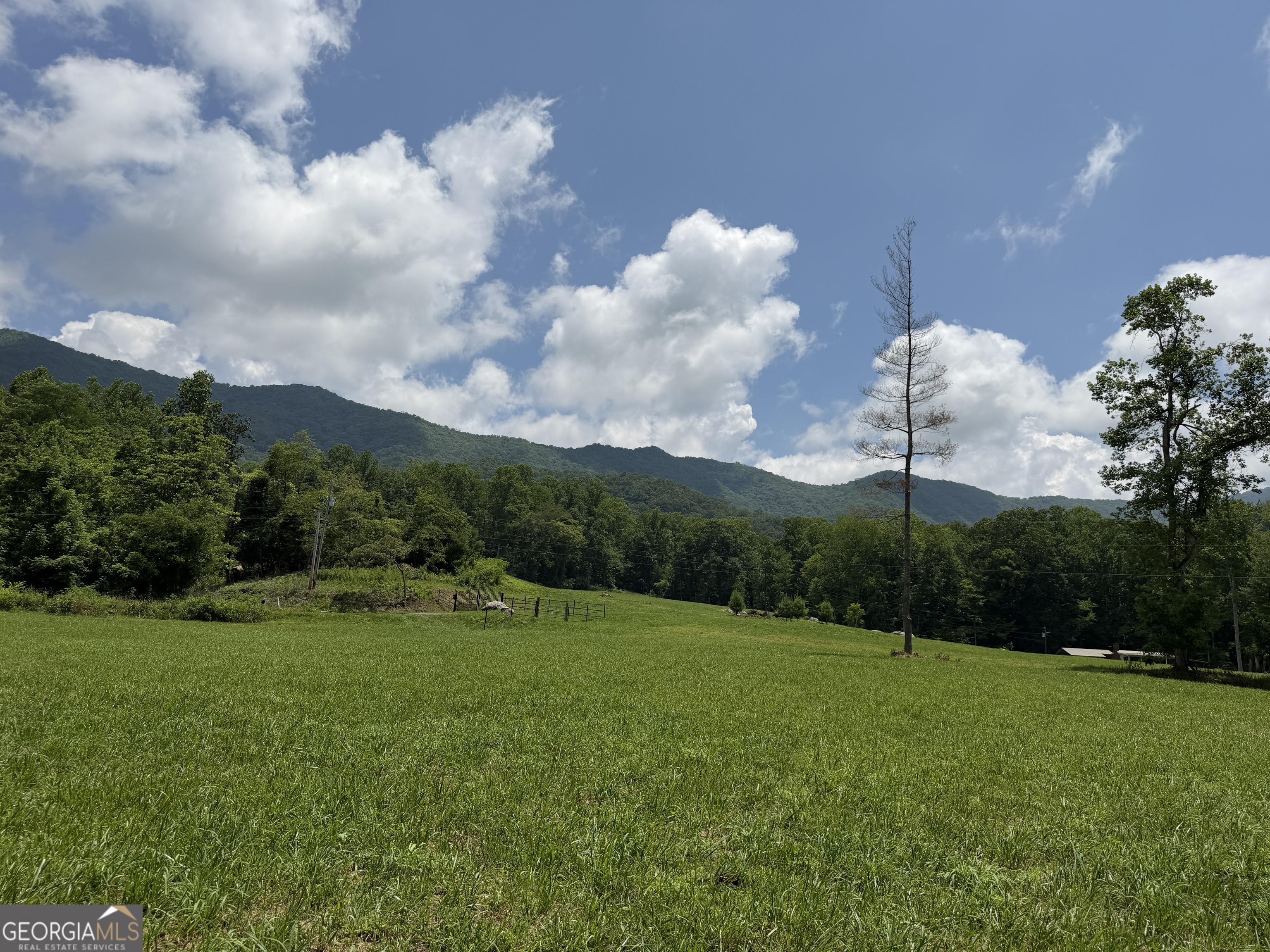 1449 Muskrat Creek Road Hayesville, NC 28904 - Photo 88 of 95
