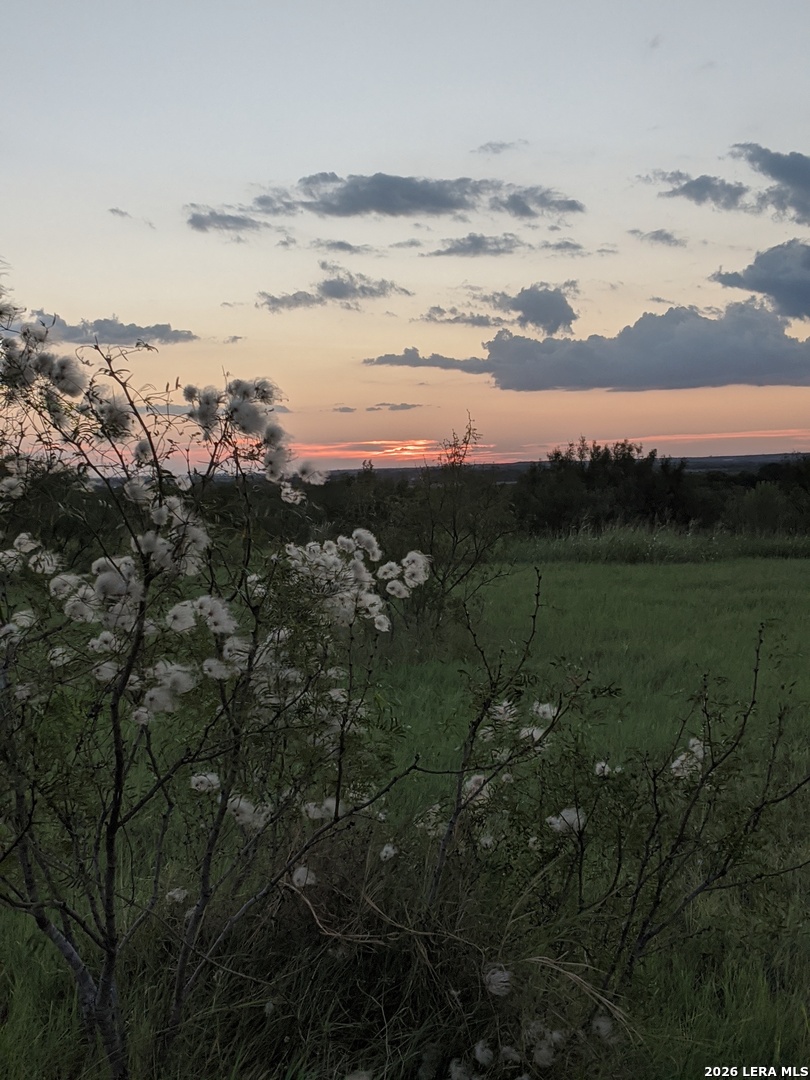 900 North Graytown Road St. Hedwig, TX 78152 - Photo 29 of 36