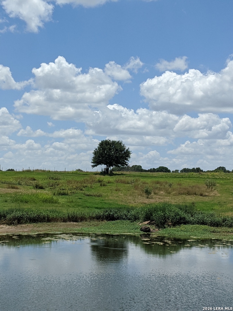 900 North Graytown Road St. Hedwig, TX 78152 - Photo 31 of 36