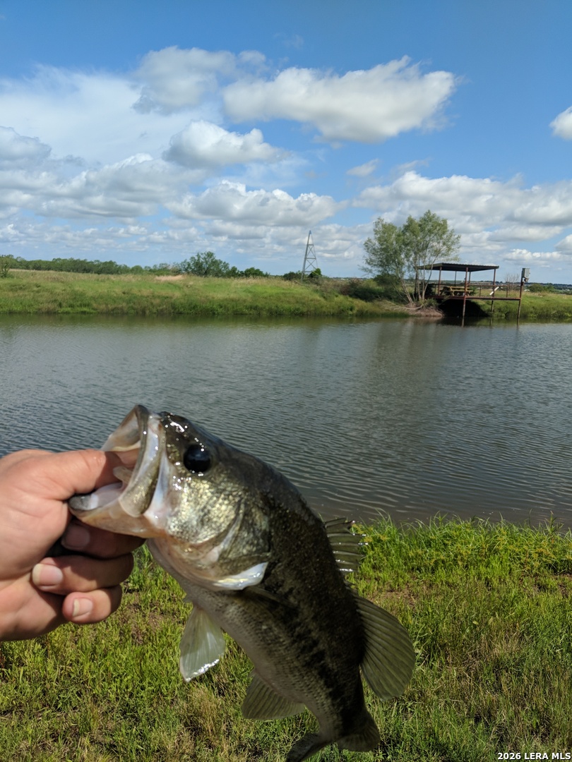 900 North Graytown Road St. Hedwig, TX 78152 - Photo 32 of 36