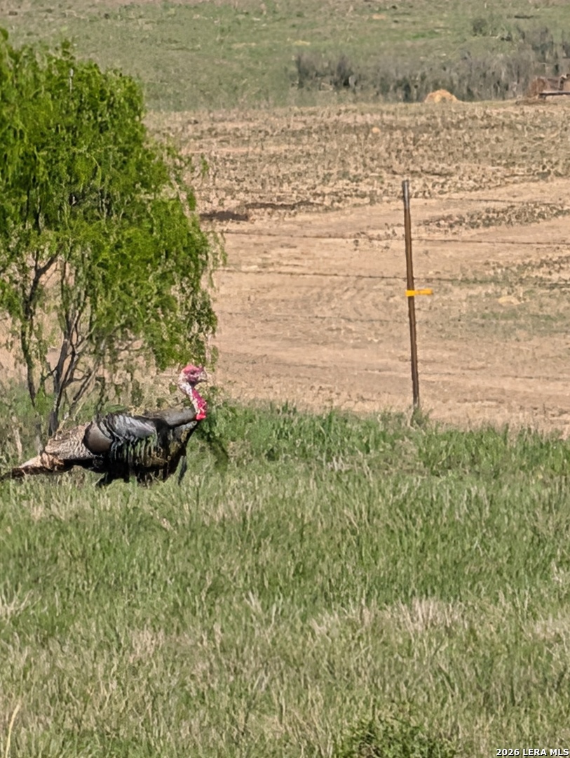 900 North Graytown Road St. Hedwig, TX 78152 - Photo 33 of 36