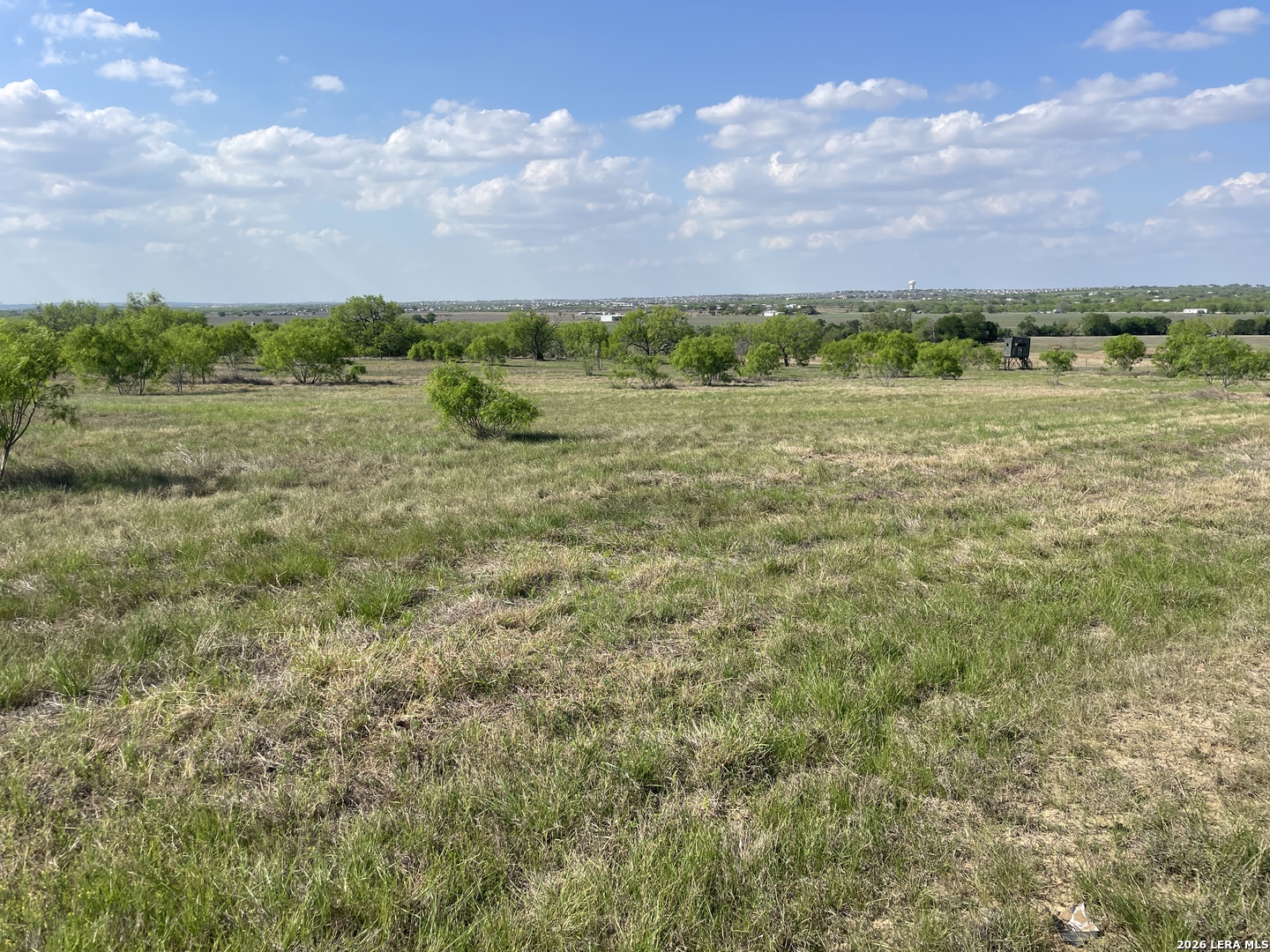 900 North Graytown Road St. Hedwig, TX 78152 - Photo 35 of 36