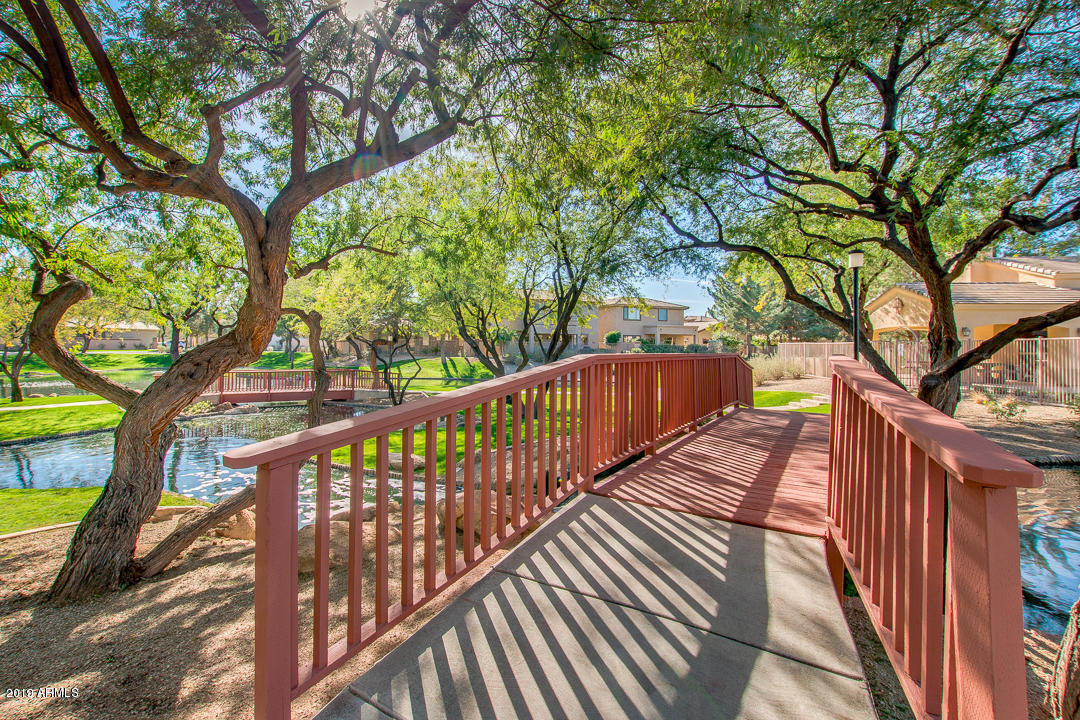 1886 West Periwinkle Way Chandler, AZ 85248 - Photo 25 of 30 Community Lake