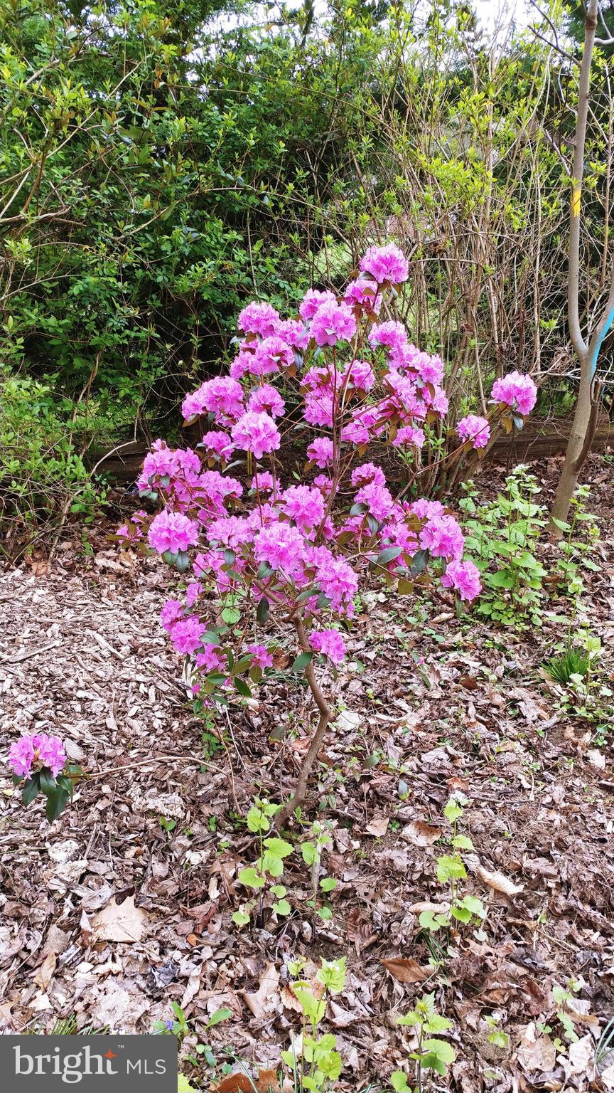 2011 Fallsgrove Way Fallston, MD 21047 - Photo 77 of 84