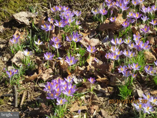 $521,500 | 2011 Fallsgrove Way, Fallston, MD 21047