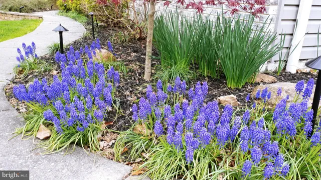 $521,500 | 2011 Fallsgrove Way, Fallston, MD 21047