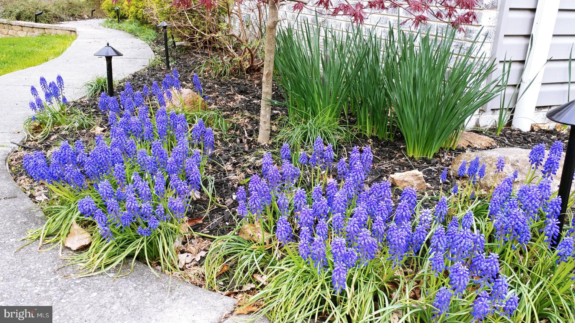 2011 Fallsgrove Way Fallston, MD 21047 - Photo 79 of 84