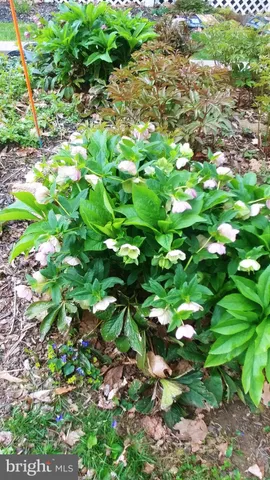 $521,500 | 2011 Fallsgrove Way, Fallston, MD 21047