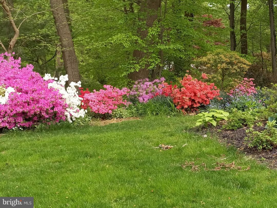 2011 Fallsgrove Way Fallston, MD 21047 - Photo 83 of 84 Spring Gardens