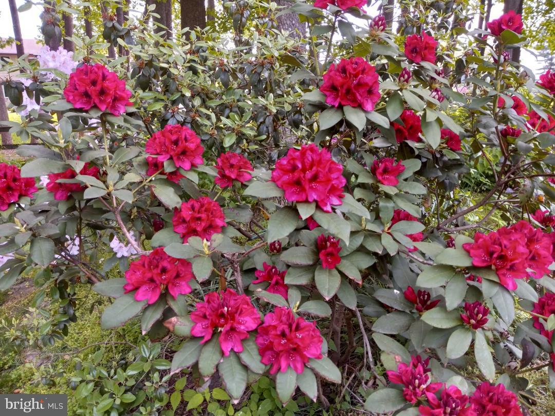 2011 Fallsgrove Way Fallston, MD 21047 - Photo 84 of 84 Gorgeous View